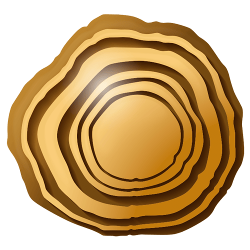 THE GROWTH RINGS